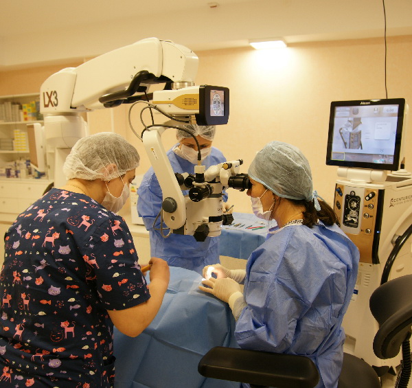 operatie cataracta